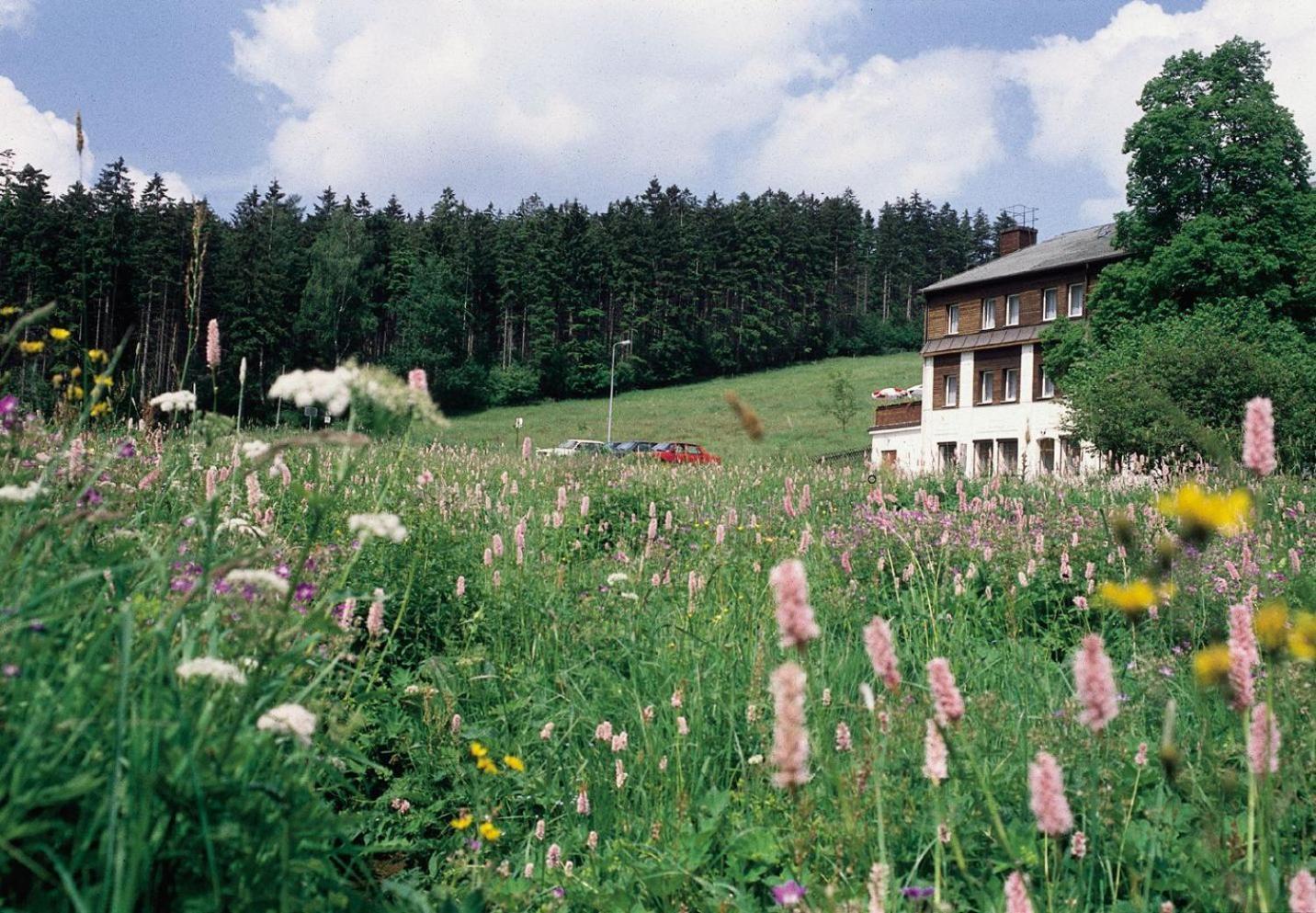 Landhaus Bergidyll Bärenstein المظهر الخارجي الصورة