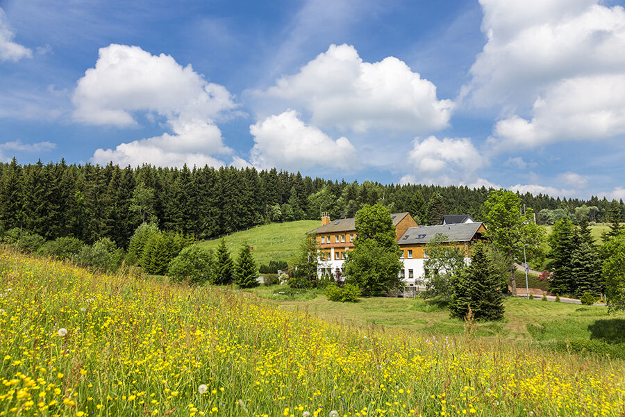 Landhaus Bergidyll Bärenstein المظهر الخارجي الصورة