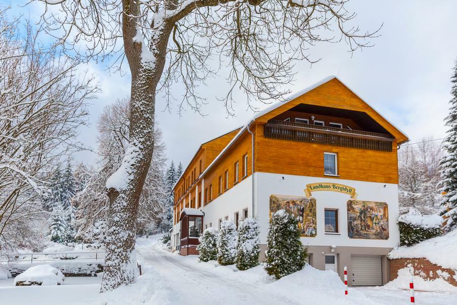 Landhaus Bergidyll Bärenstein المظهر الخارجي الصورة