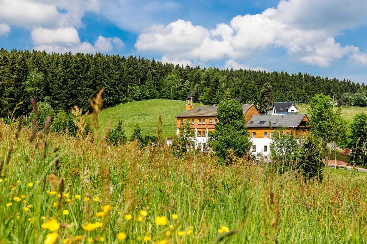 Landhaus Bergidyll Bärenstein المظهر الخارجي الصورة